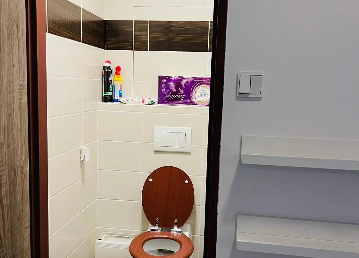 Chodov Apartman Praag